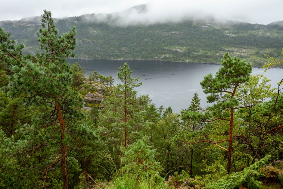 Utforskning av Norges Natur: Fra Fjorder til Fjell